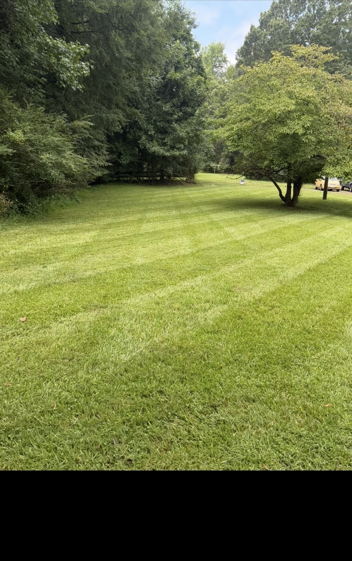 Large open lawn freshly mowed with visible stripes
